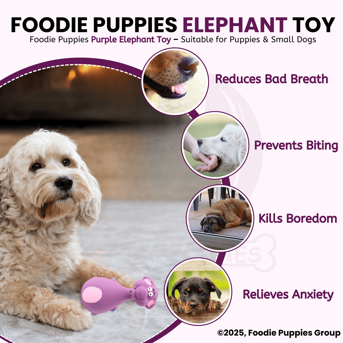 Purple Elephant Toy