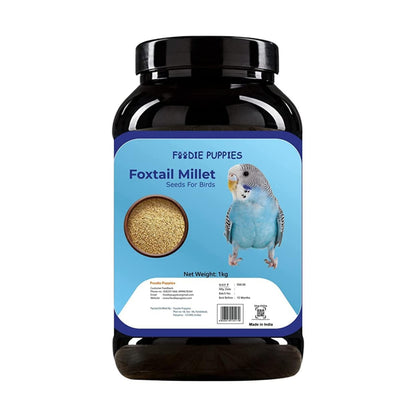 Foodie Puppies Kangani Seeds - 1Kg | Suitable for All Types of Birds