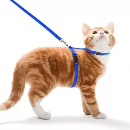 Foodie Puppies Adjustable Harness & Leash Set for Cats, (Color May Vary)