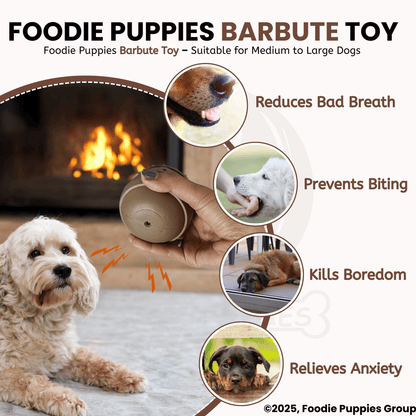 Barbute Chew Toy 