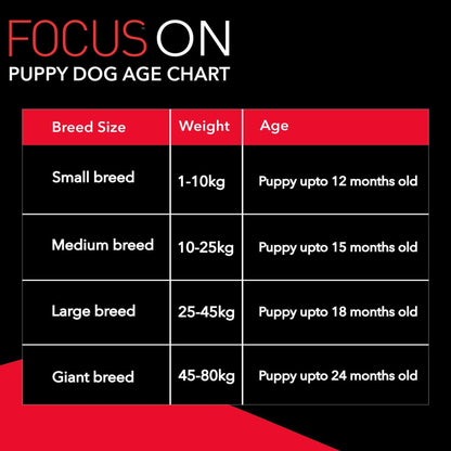 Drools Focus Puppy Super Premium Dry Dog Food, Chicken Flavor, 1.2kg