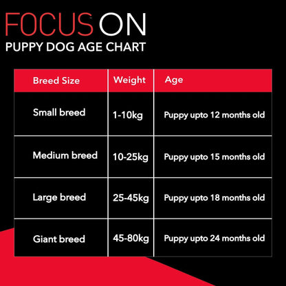 Drools Focus Puppy Super Premium Dry Dog Food, Chicken Flavor, 12kg