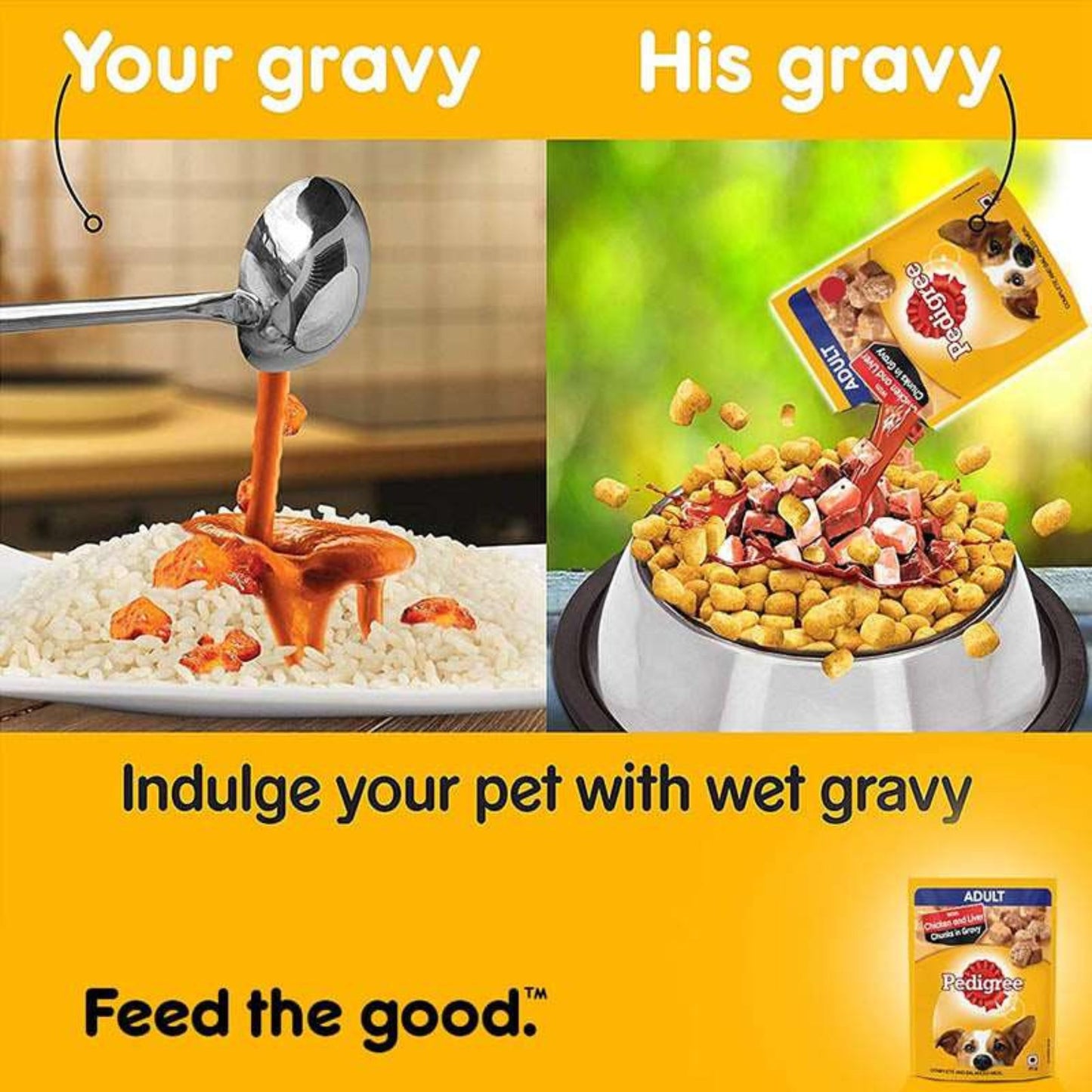 Pedigree Adult Dog Food, Chicken and liver Chunks in Gravy, Pack of 15