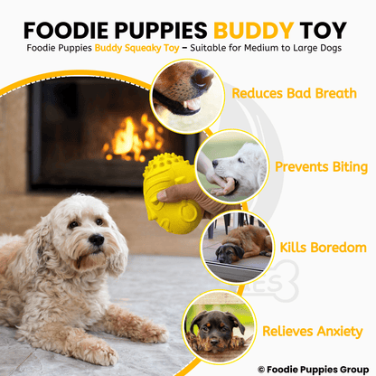 Dog Natural Latex Rubber Squeaky Toy - Buddy Squeaky Toy