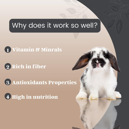 Foodie Puppies Premium Rabbit Food Pellets Highly Nutritious Diet, 2Kg