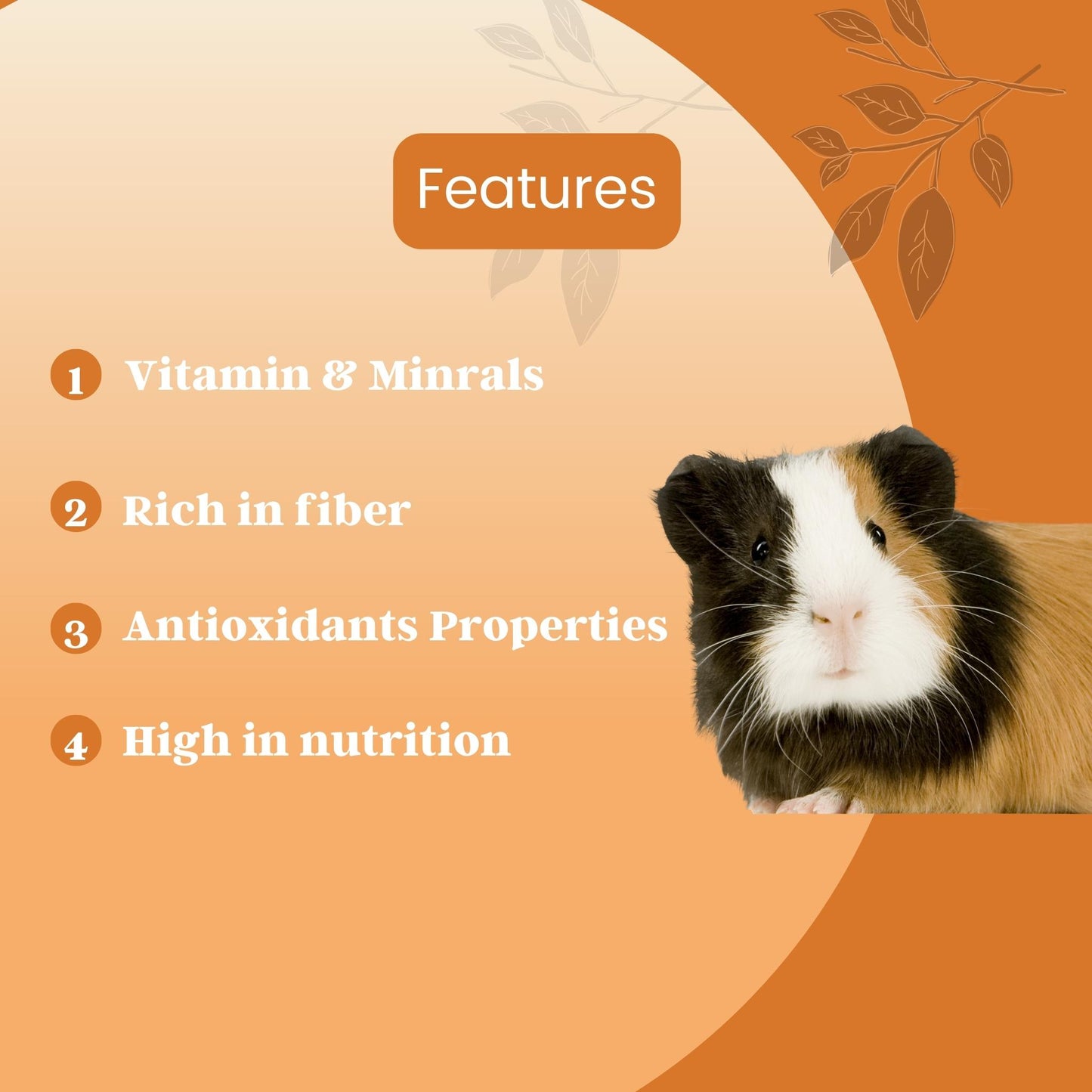 Foodie Puppies Guinea Pig Food Pellets Highly Nutritious Diet, 1Kg
