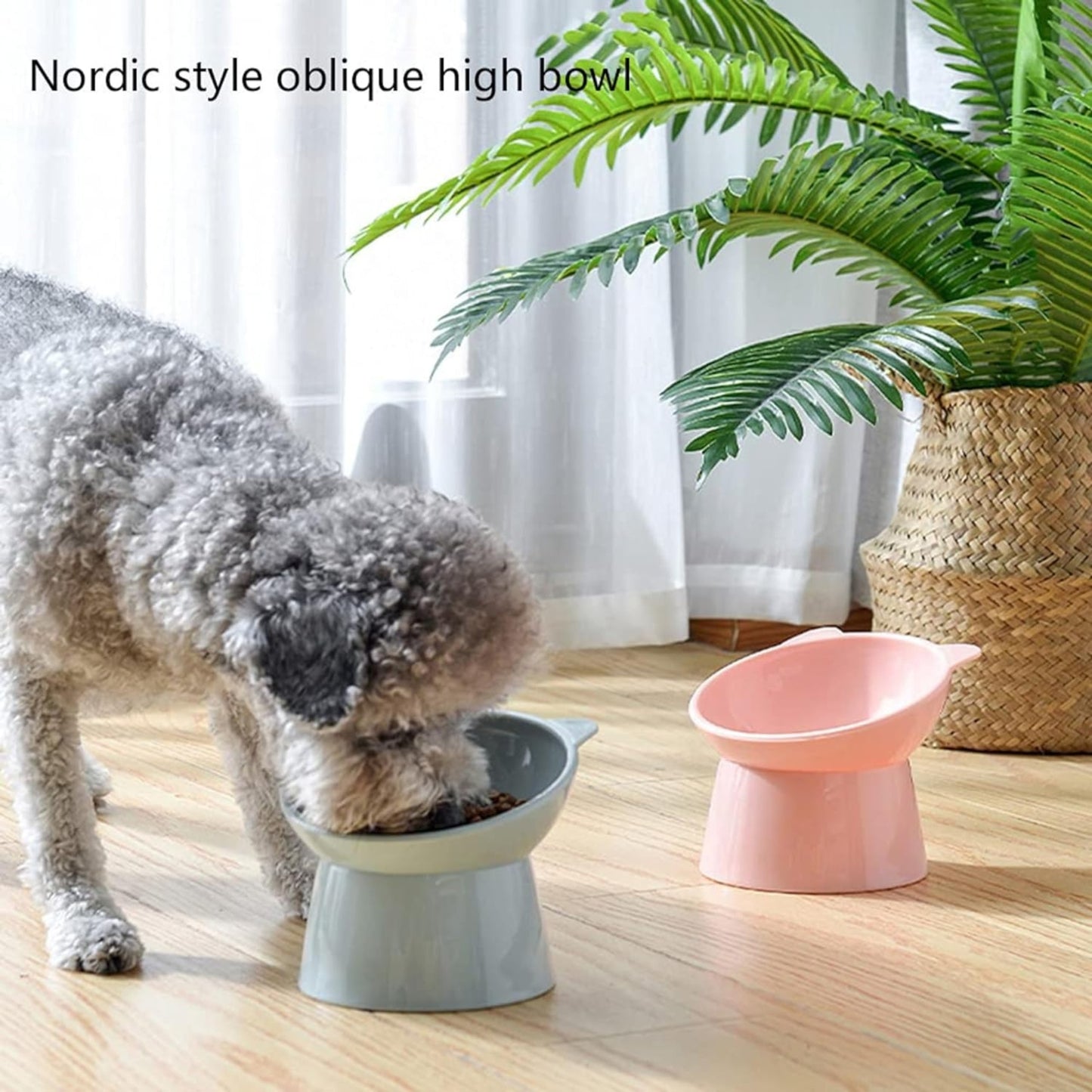 Foodie Puppies Elevated Raised Feeding Bowl for Cats & Kittens