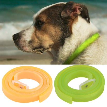 Foodie Puppies Dooda Flea and Tick Collar for Dogs (Length: 60 cm)