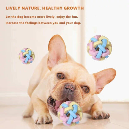 Foodie Puppies Dog Chew Ball Toy for Small to Medium Dogs, Wicker Ball