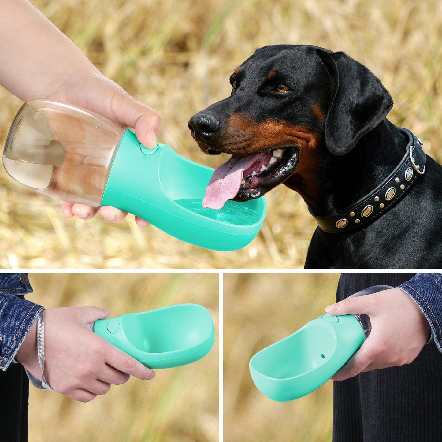 Foodie Puppies Portable Dog Water Bottle for Travel (350ml, Color May Vary)