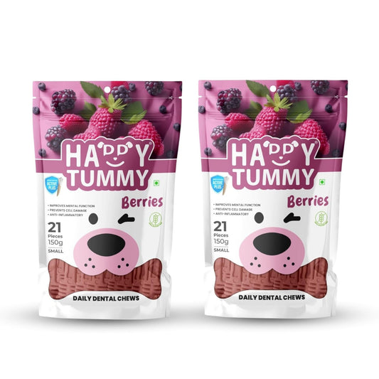 Happy Tummy Dental Chew Bone Treat for Dogs - 21Pcs, Small (Berries, Pack of 2)
