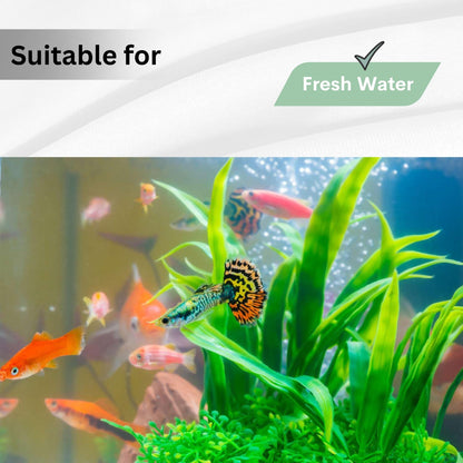 Aquatic Remedies General Cure - 250ml | For Fresh Water