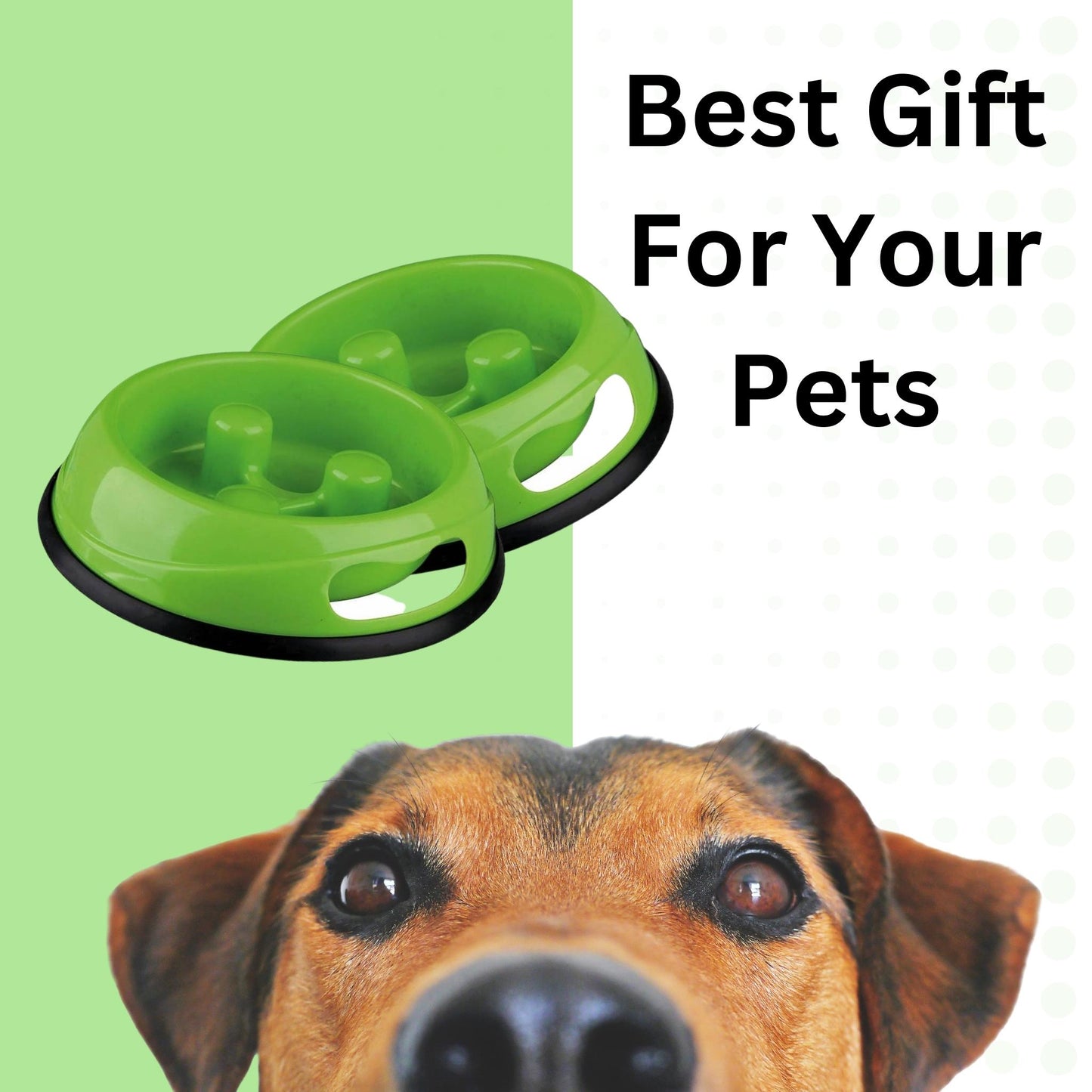 Foodie Puppies Pet Bowl Slow Feeder for Dogs & Cats - 900ml, Green