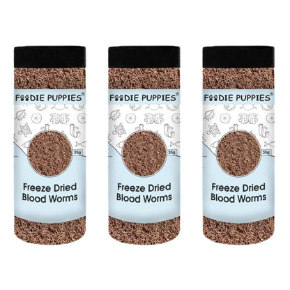 Foodie Puppies Freeze Dried Blood Worms Fish Food - 35gm, Pack of 3