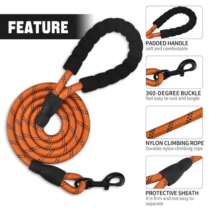 Foodie Puppies Reflective Snug Leash for Small to Medium Dogs, Orange