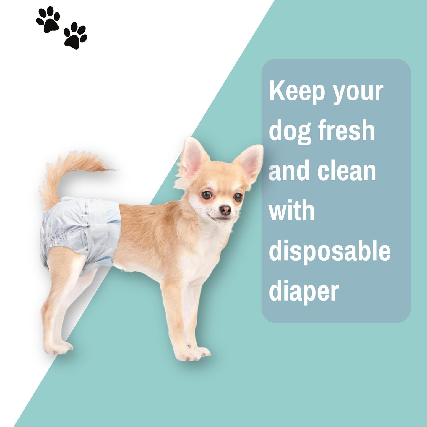 Foodie Puppies Disposable Dog Diapers for Female Dogs - Large