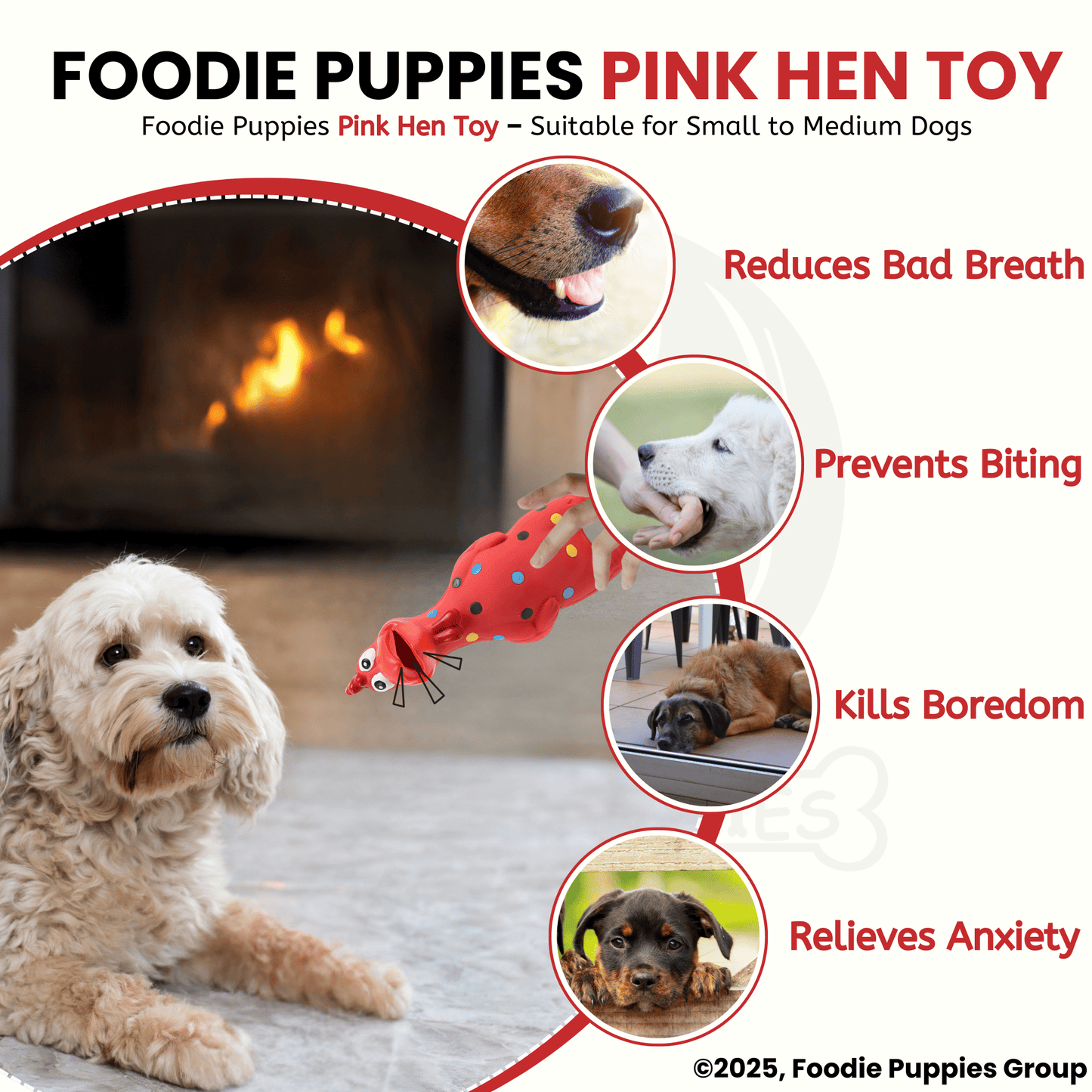 Pink Hen Squeaky Toy