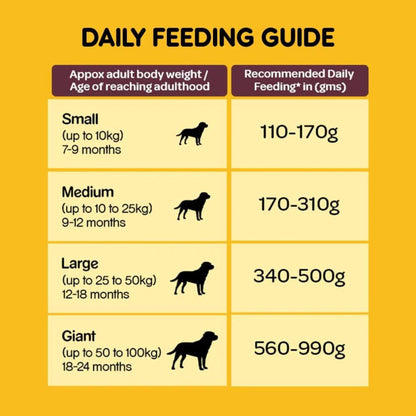 Pedigree Complete & Balanced Adult Dry Dog Food - Meat & Rice, 10Kg