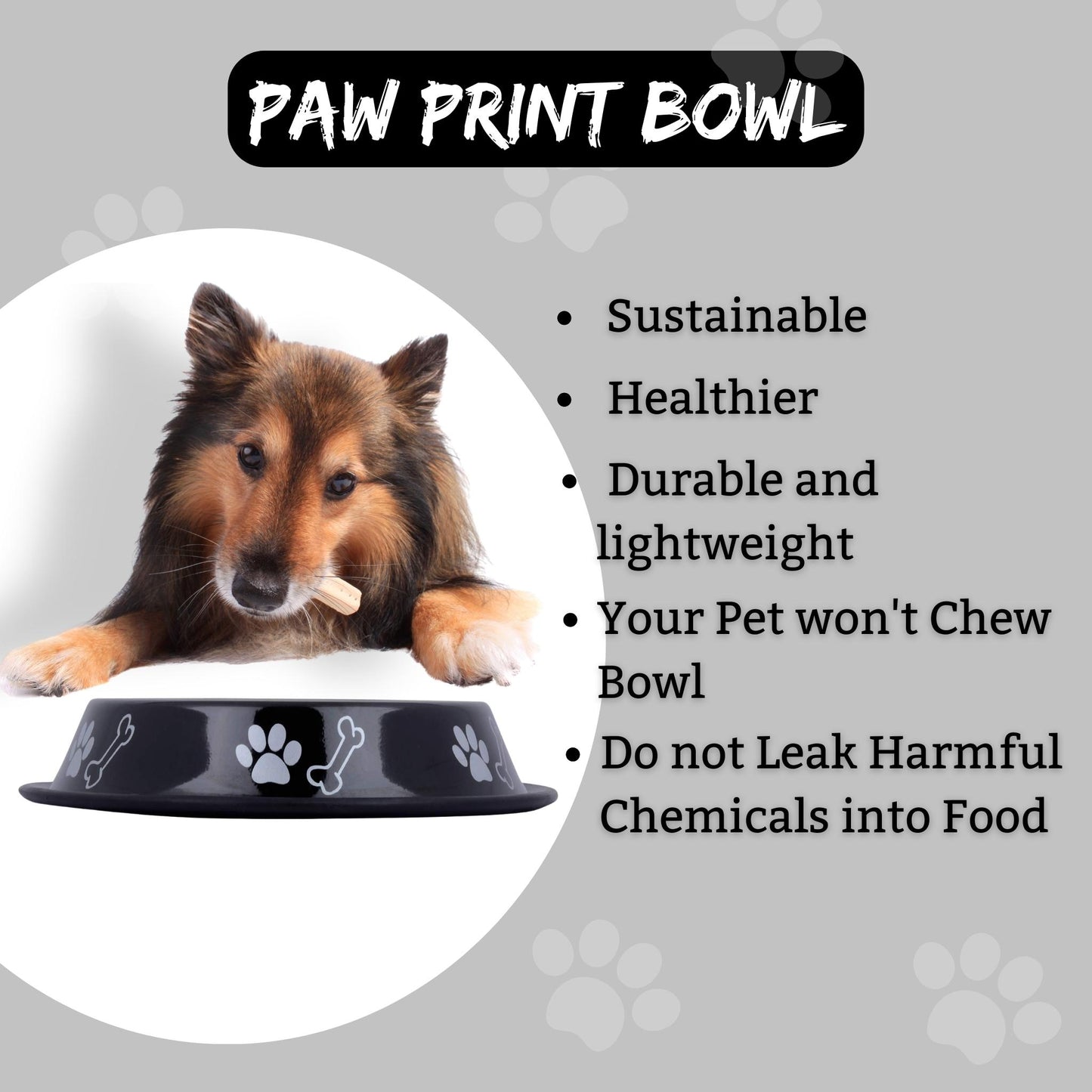 Foodie Puppies Printed Steel Bowl for Pets - 450ml (Black)
