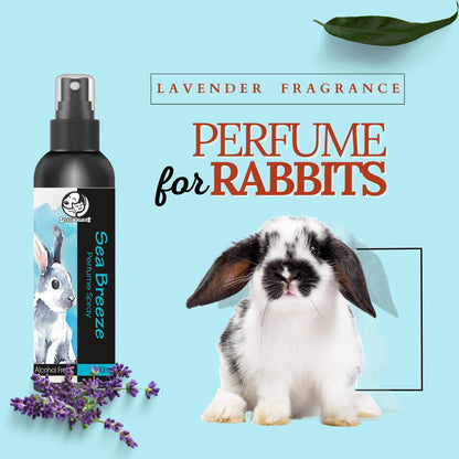 Foodie Puppies Pet Perfume Spray Sea Breeze for Rabbits - 200 ml