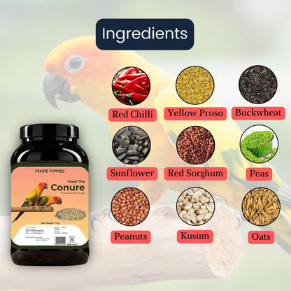 Foodie Puppies Conure Mix Seeds - 1Kg | Suitable for All Type of Birds