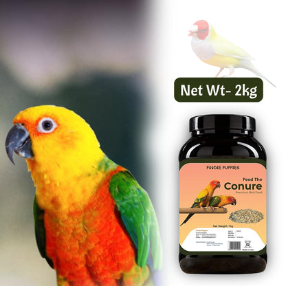 Foodie Puppies Conure Mix Seeds - 2Kg | Suitable for All Type of Birds