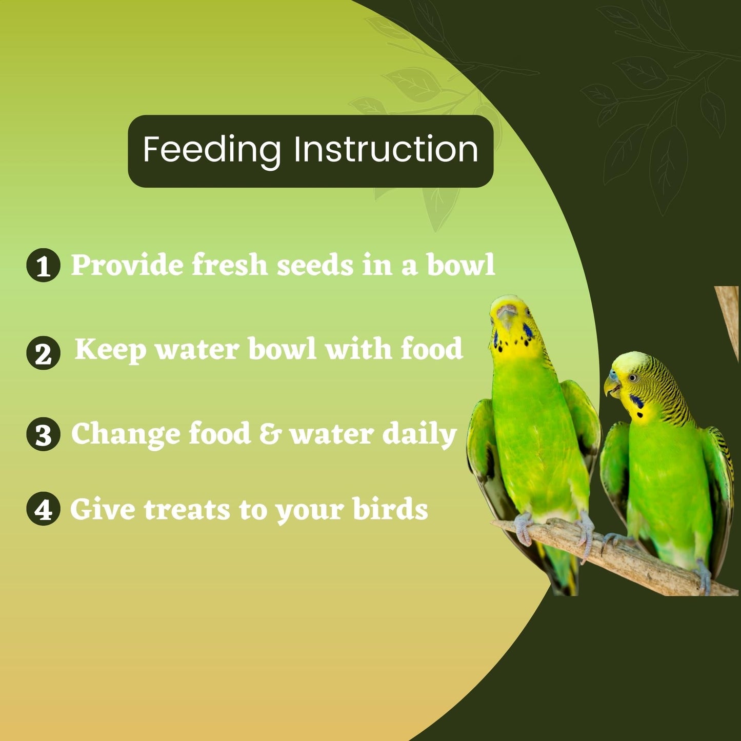 Foodie Puppies Budgie Mix Seeds - 2Kg | Suitable for All Type of Birds