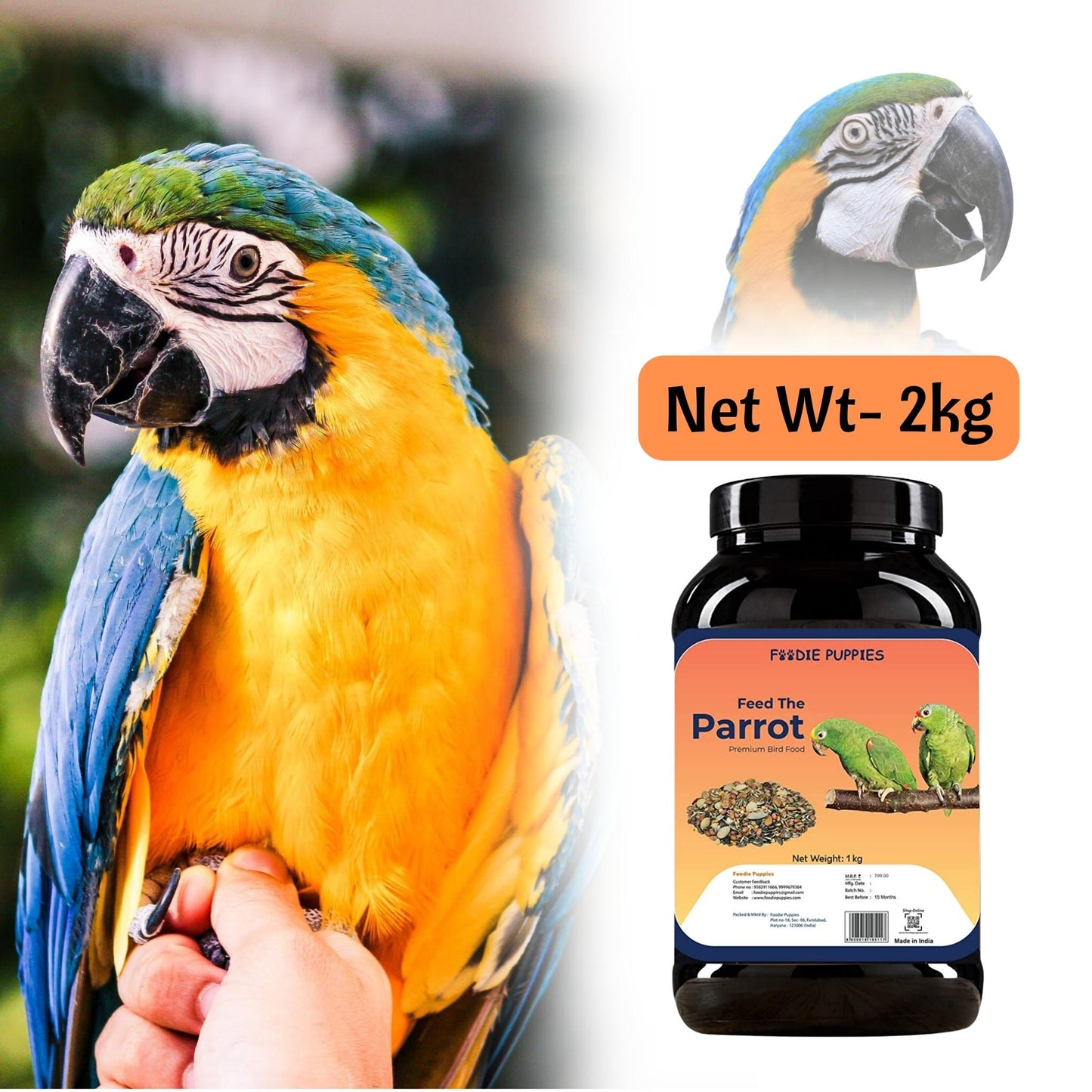 Foodie Puppies Big Parrot Seeds - 2Kg | Suitable for All Type of Birds