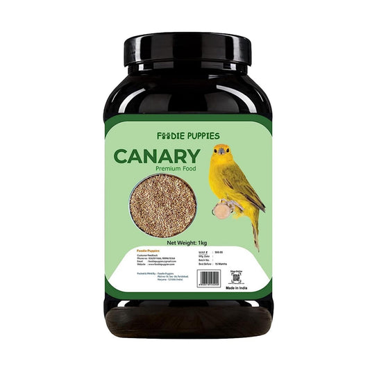 Foodie Puppies Canary Seeds - 1Kg | Suitable for All Types of Birds