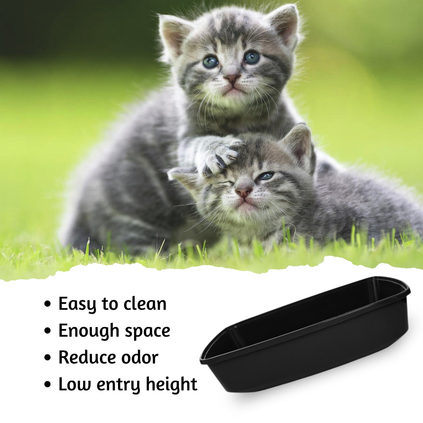 Foodie Puppies Cat Litter Tray for Small Cat and Kitten - Black, Large
