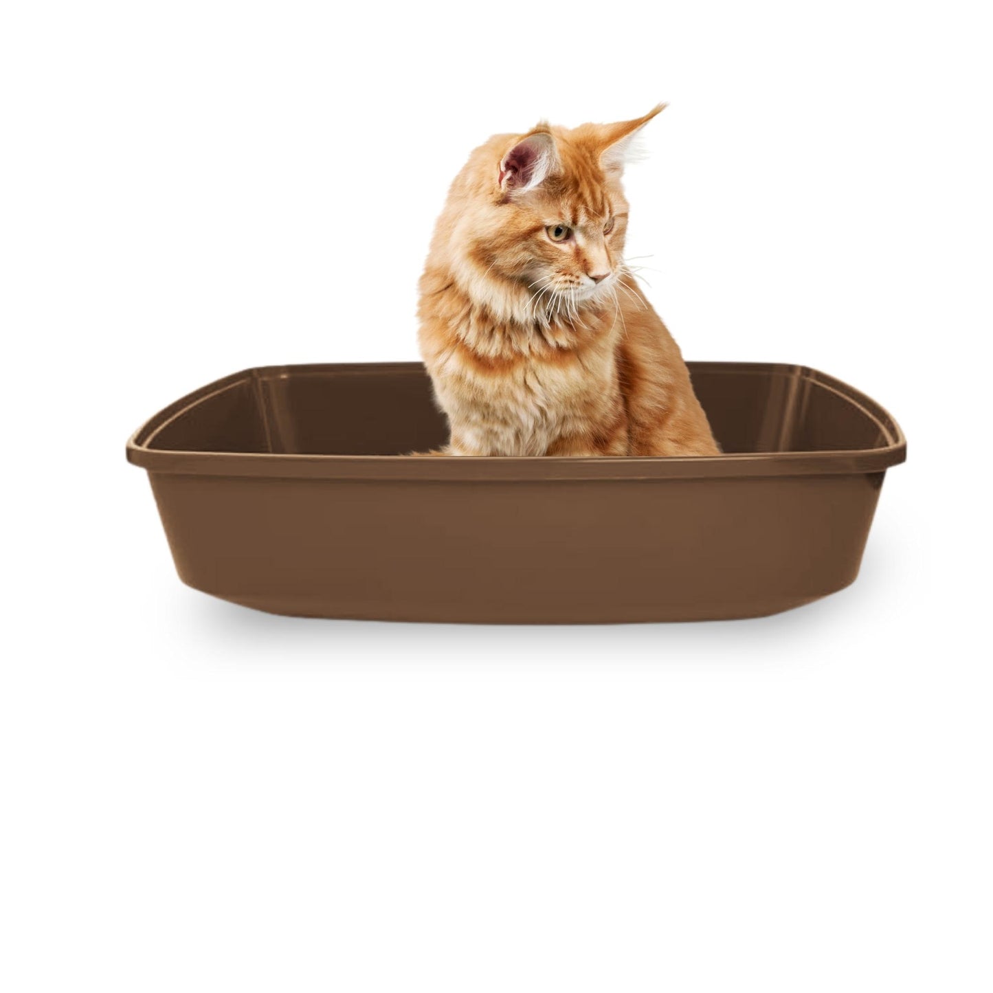 Foodie Puppies Cat Litter Tray for Small Cat and Kitten - Brown, Large