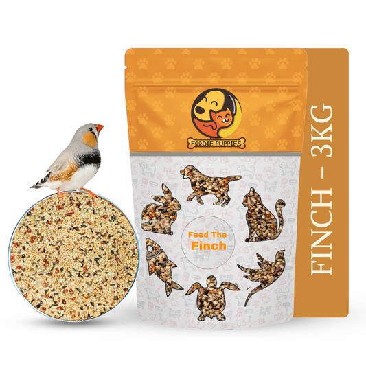 finch seed 