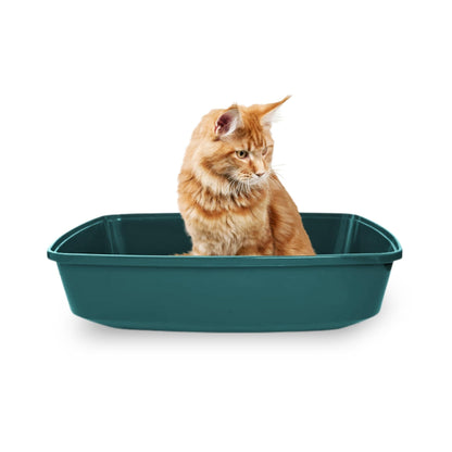 Foodie Puppies Cat Litter Tray for Small Cat and Kitten - Green, Large