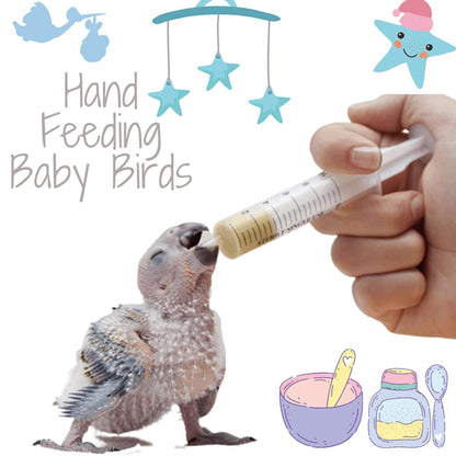 Hand Feeding for Baby Birds