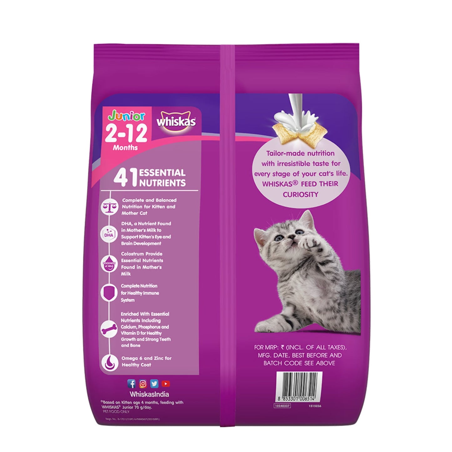 Whiskas Dry Cat Food for Mother and Babycat, Mackerel Flavour, 450g