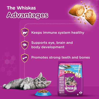 Whiskas Dry Cat Food for Mother and Baby Cat, Ocean Fish Flavor, 3Kg