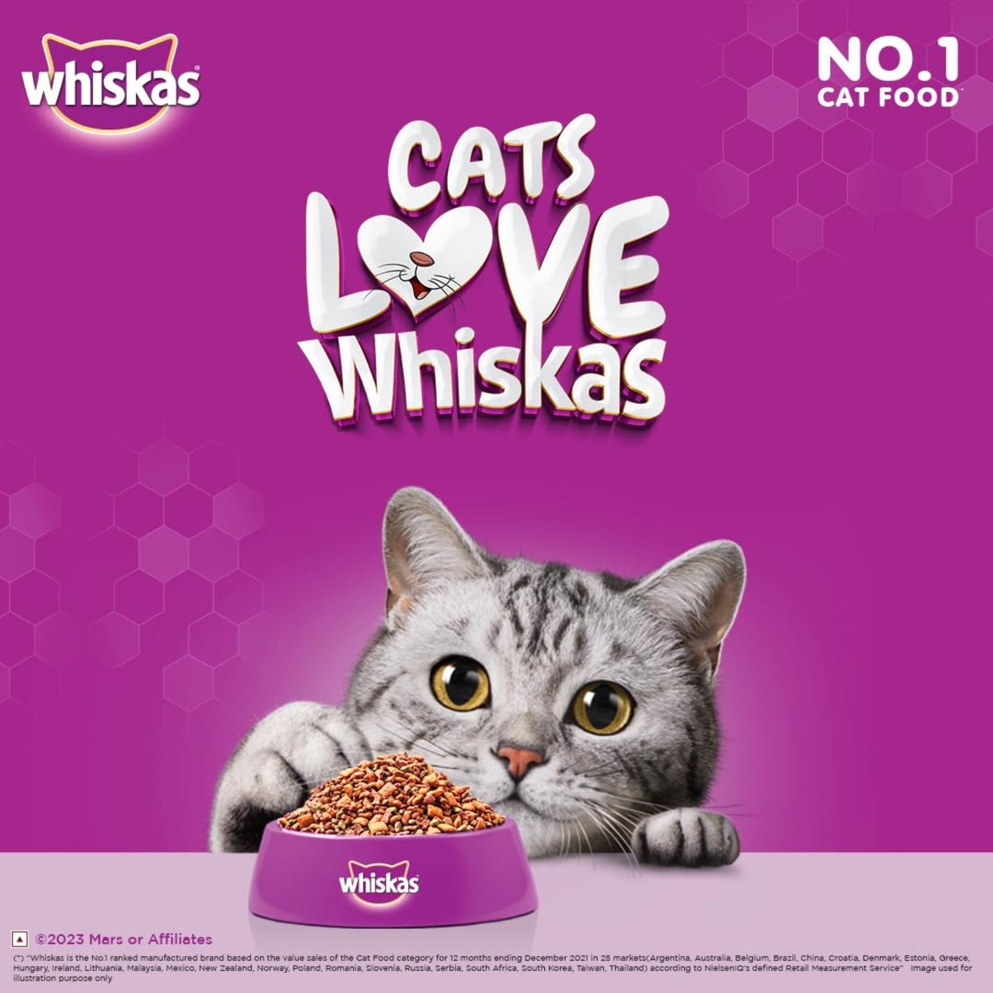 Whiskas Dry Cat Food for Mother and Baby Cat, Ocean Fish Flavor, 1.1Kg