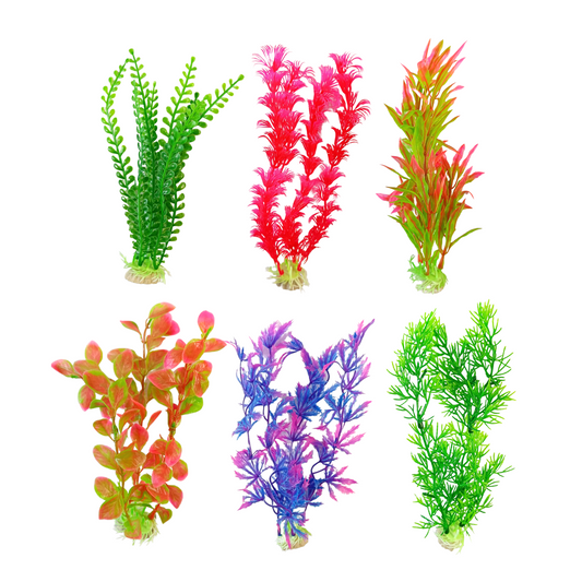 plants for aquarium 