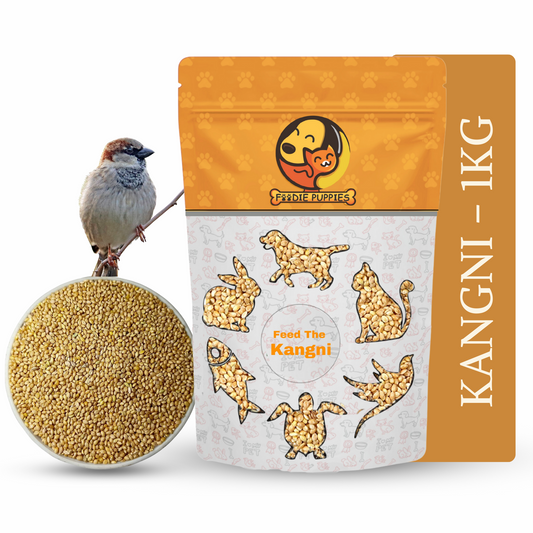 Kangni Seeds