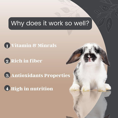Foodie Puppies Premium Rabbit Food Pellets Highly Nutritious Diet, 3Kg