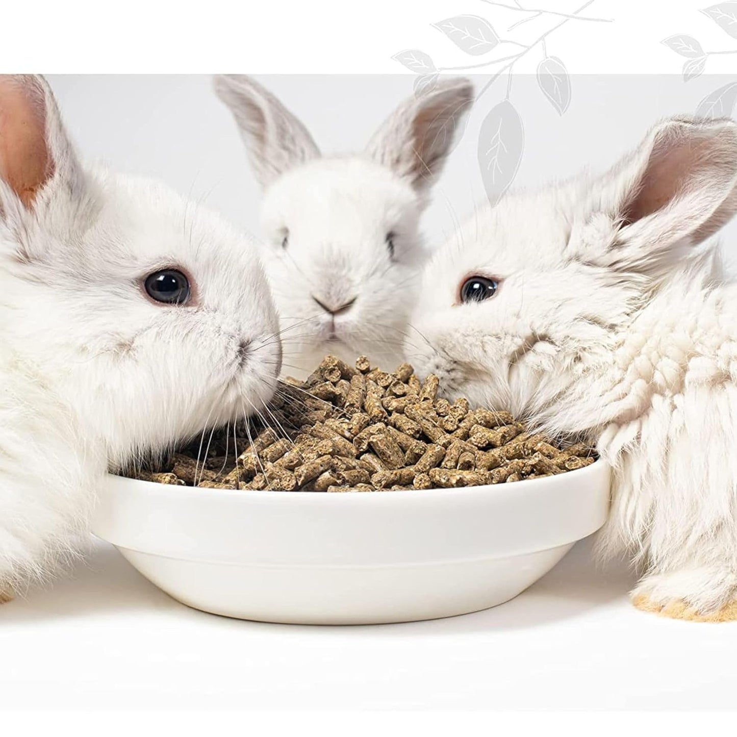 Foodie Puppies Premium Rabbit Food Pellets Highly Nutritious Diet, 3Kg