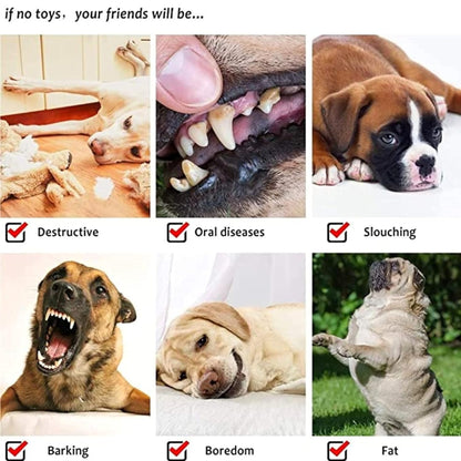 Foodie Puppies Tough Chew Toy for Medium & Large Dog (Wood Fiber Bone)