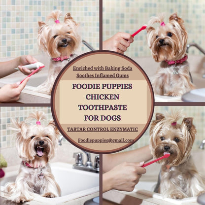 Foodie Puppies Chicken Toothpaste for Dogs & Cats - 100g, Pack of 2