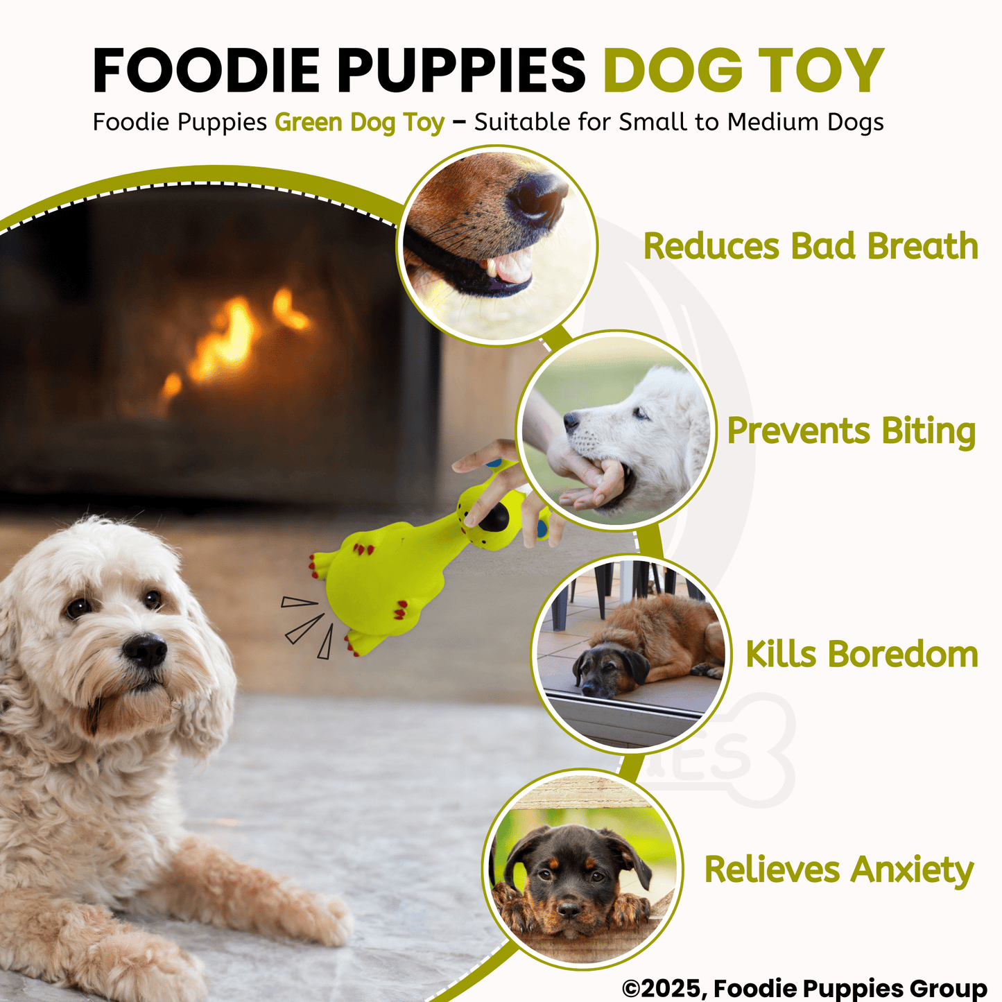 Dog Latex Green Dog Squeaky Chew Toy for Small Dogs and Puppies