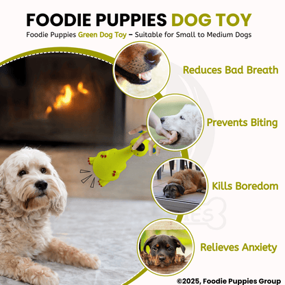 Dog Latex Green Dog Squeaky Chew Toy for Small Dogs and Puppies