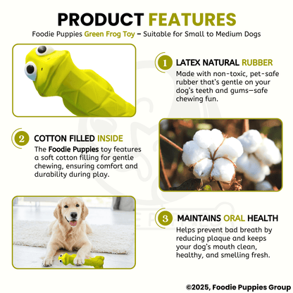 Green Frog Squeaky Chew Latex Rubber Toy for Small Dogs and Puppies