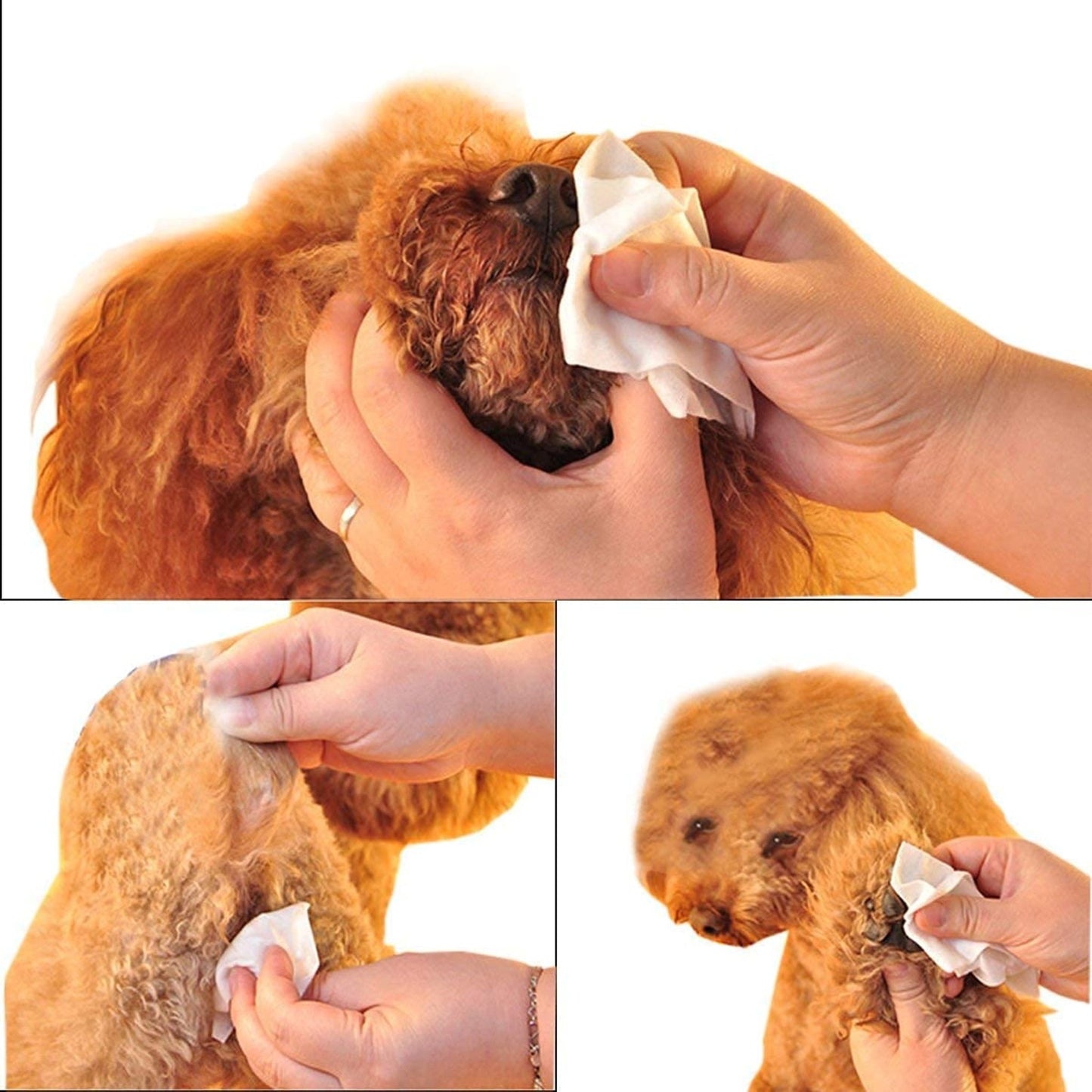 Foodie Puppies Combo of Wipes and Bath Glove for Dogs and Cats