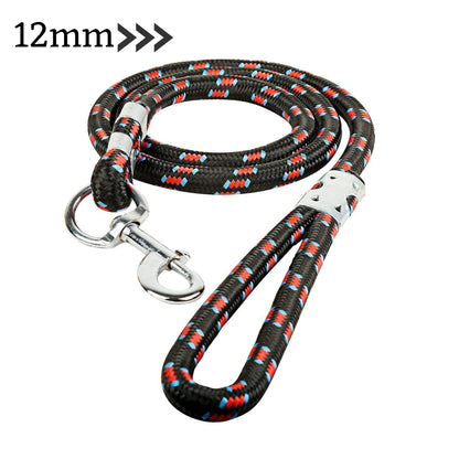 Foodie Puppies Nylon Leash for Medium & Large Dogs - 12mm (Color May Vary)