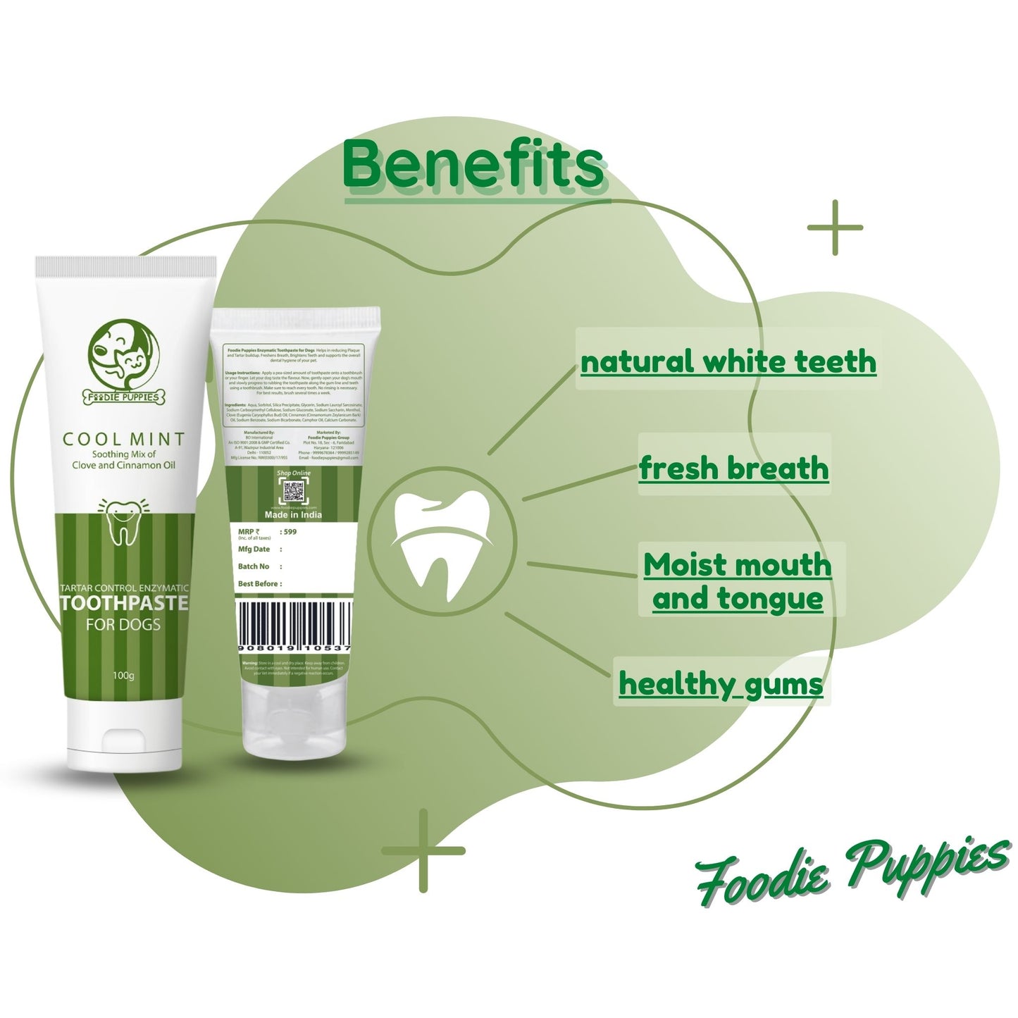 Foodie Puppies Dental Care Cool Mint Toothpaste for Dog & Puppy - 100g
