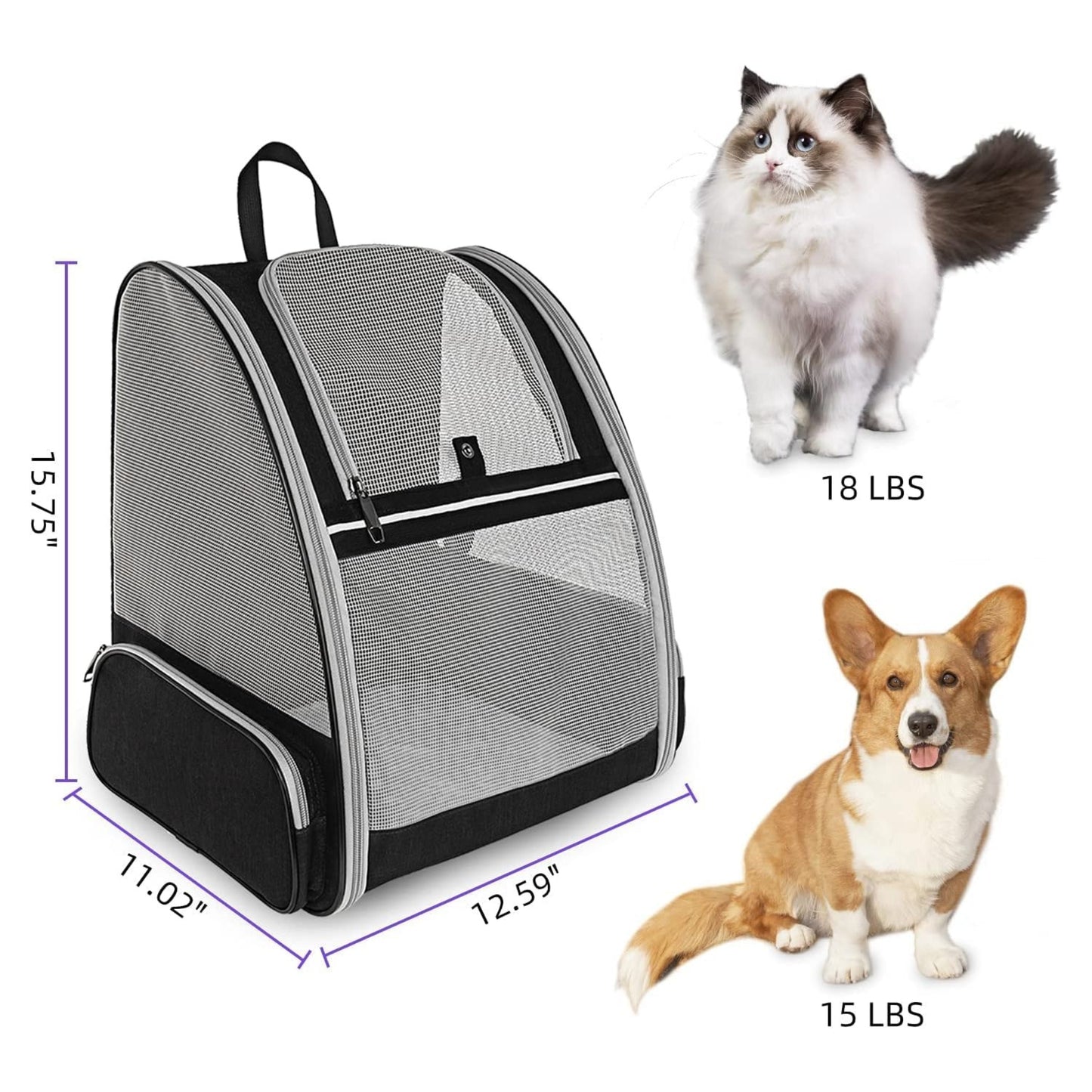 Foodie Puppies Pet Ventura Black Backpack for Small Dogs and Cats